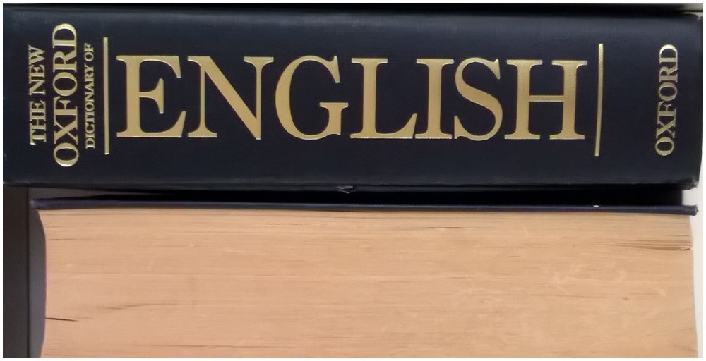 a tube is a tube is a bus