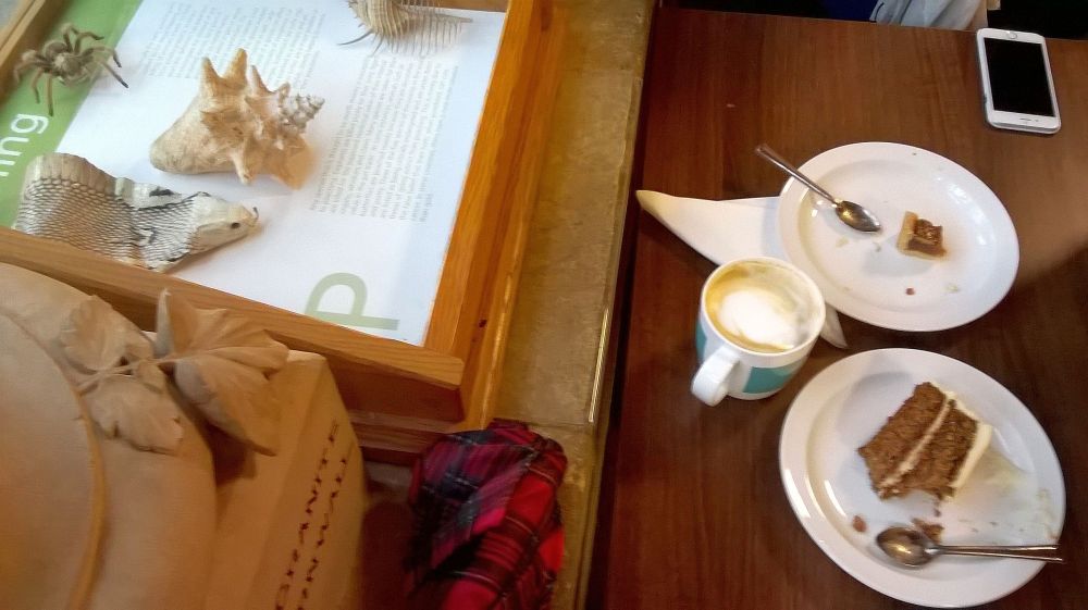 Big Spider and Carrot Cake