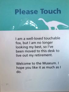 Lovable Retired Fox