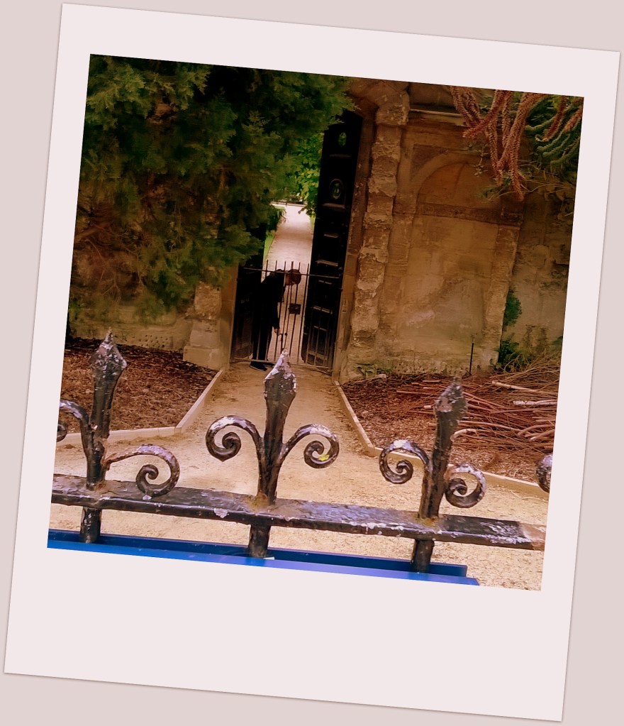 Polaroid Botanical Garden