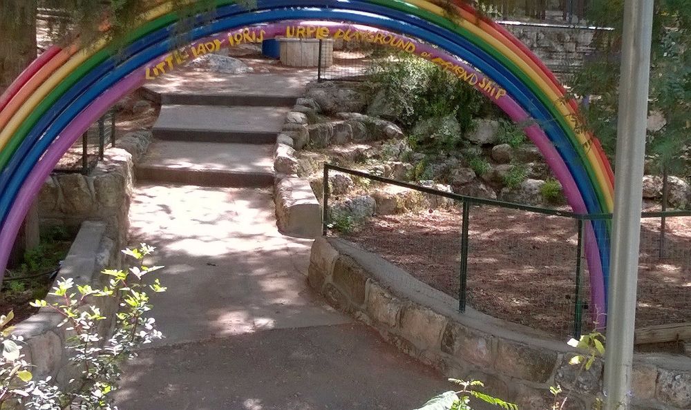 Little Lady Loris Purple Playground of Friendship