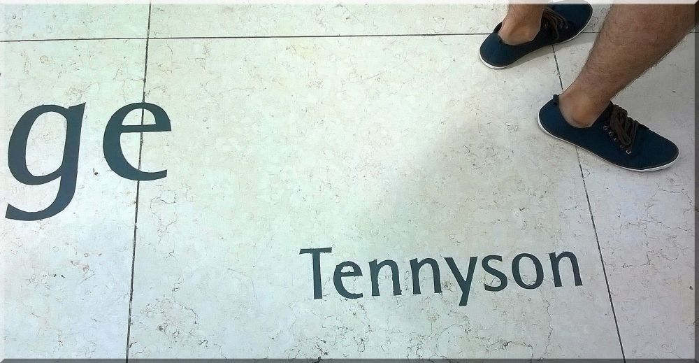 Knowledge and hairy calves