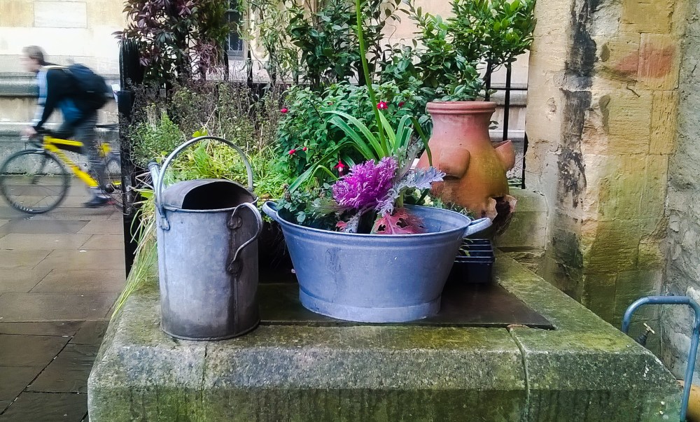 Cyclist Fast-coloured