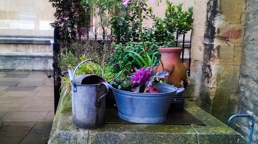 No-one coming_strong colour