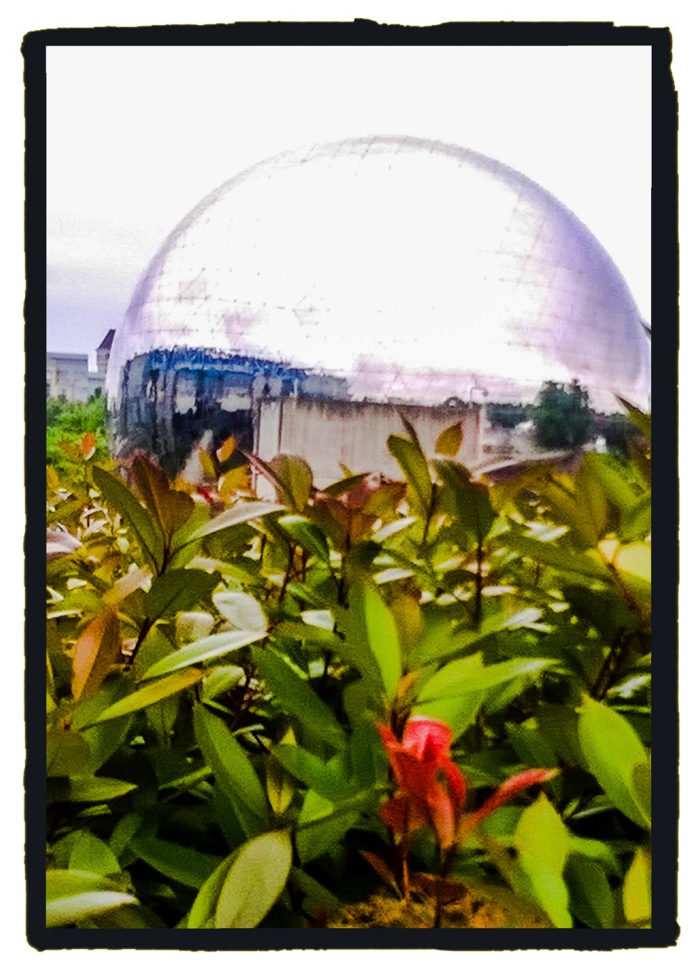 AdobePhotoshopExpress_03ae20efdde649b89414371fb0302da3